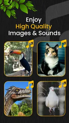 Animal Ringtones android App screenshot 0