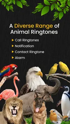 Animal Ringtones android App screenshot 2