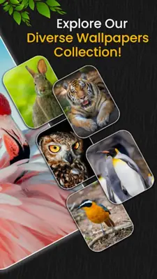 Animal Ringtones android App screenshot 4